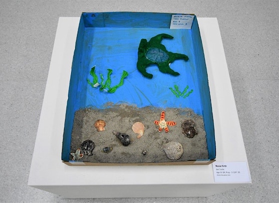 Talent shines through in 2022 Youth Art Awards